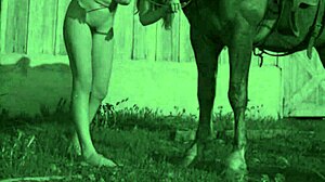 Taboo vintage porn is pounding in hairy equus