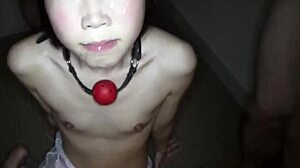 A tiny dog with small tits and flat chest gets trained and collared in her first time creampie scene